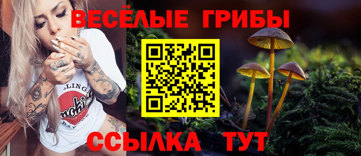 Галлюциногенные грибы GOLDEN TEACHER  Вход с VPN  Рязань 