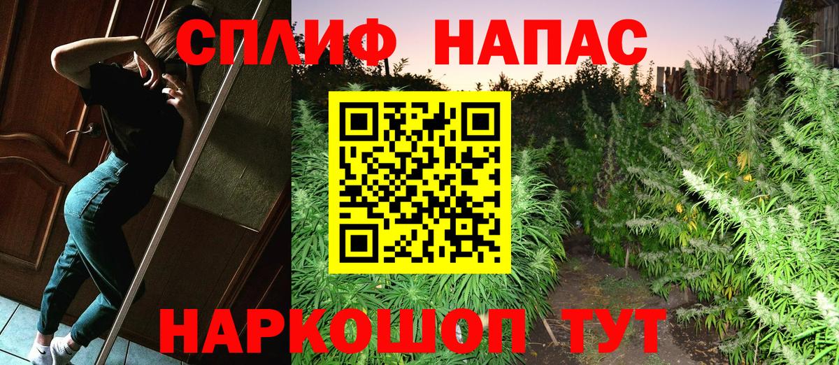 Бошки Шишки план Рязань